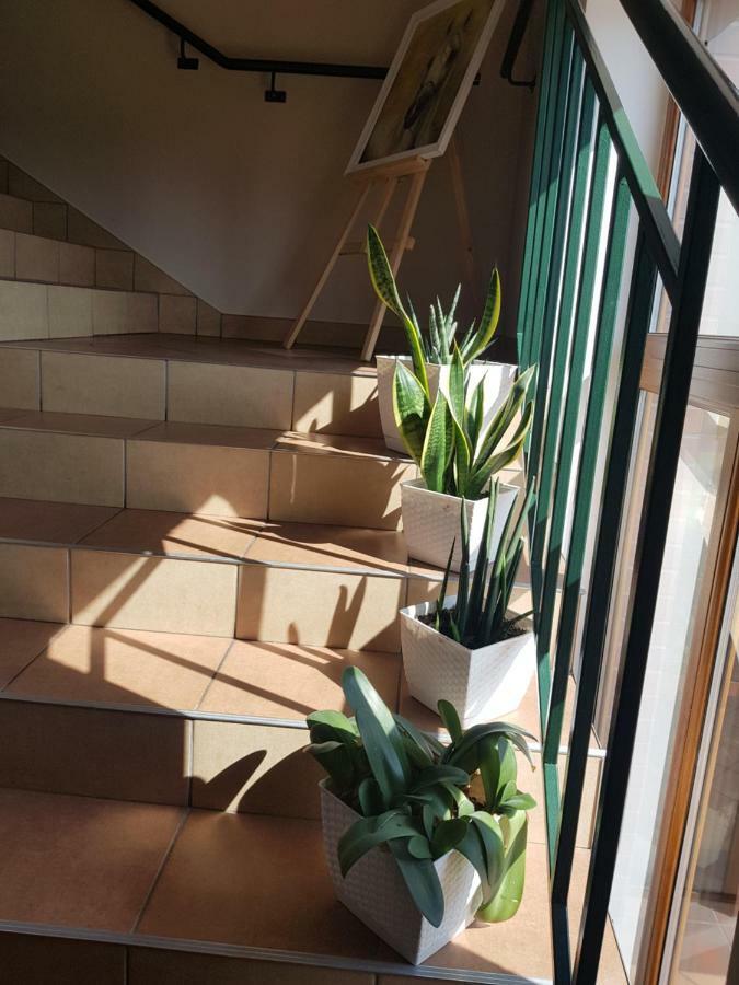 Biale Wzgorze Farm stay Okonek